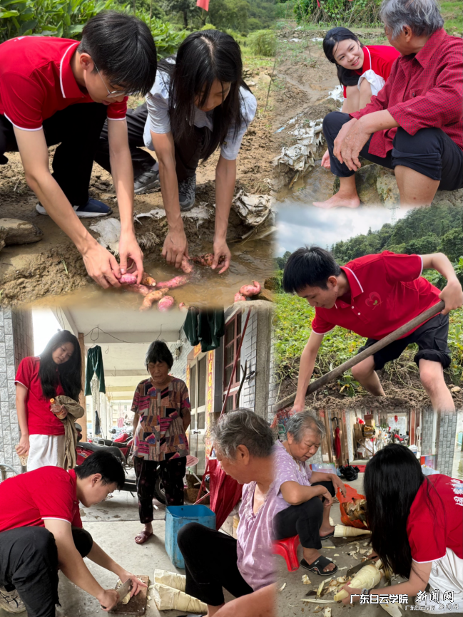 ͼƬ 3.png ͼƬ 3.png