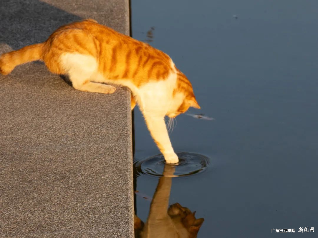 ͼƬ 6.png ͼƬ 6.png