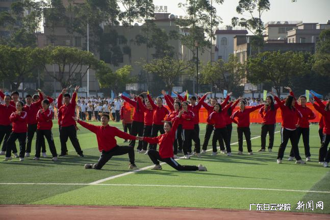 ͼƬ 13.png ͼƬ 13.png