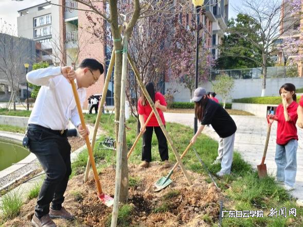 ͼƬ 3.png ͼƬ 3.png