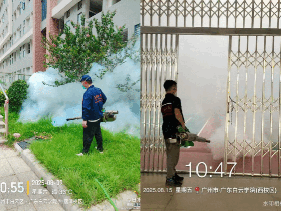 Ê×Ò³|Ò¼ºÅÓéÀÖ - ÏàÐÅÆ·ÅƵÄʵÁ¦