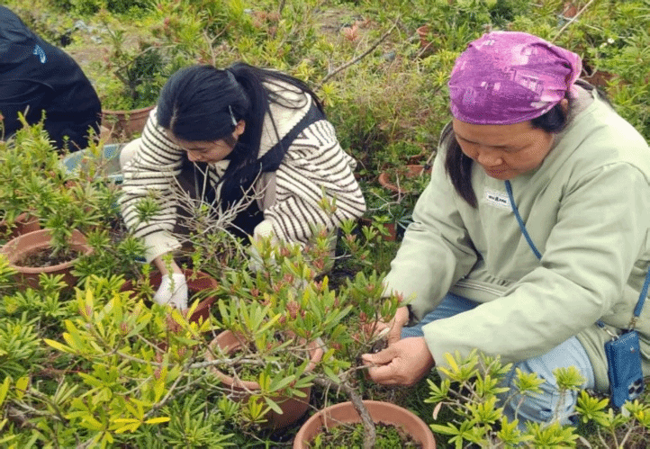 virtual_attach_file.vsb?afc=6M4U_DUmCZnzLbnFNQ7nzlDnznkoR69VnRAkoll8n7lPM4l0gihFp2hmCIa0LShVL1yiUYh2MmC8M774U8nkUNQkMmfVLR-iMNlDL87YnlnFLzAfMNCiMNVFL8CsM4vJv2bjo4OeosXEgDTJQty0LzLiLSyYM478Lm7JqdAnx&oid=2103874463&tid=1351&nid=271421&e= Ê×Ò³|Ò¼ºÅÓéÀÖ - ÏàÐÅÆ·ÅƵÄʵÁ¦