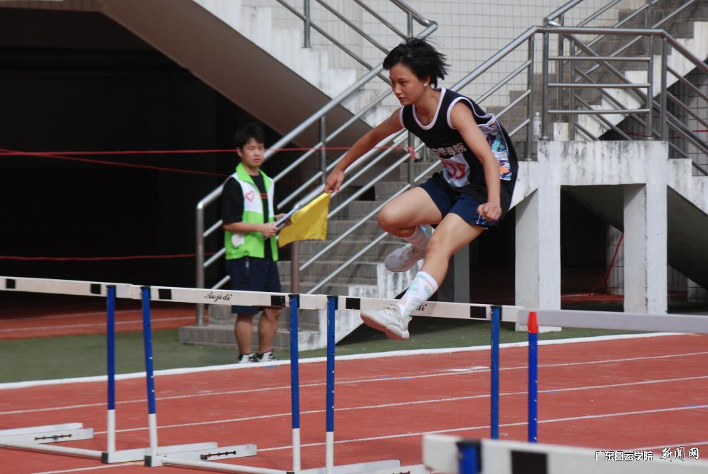 ͼƬ 9.png ͼƬ 9.png