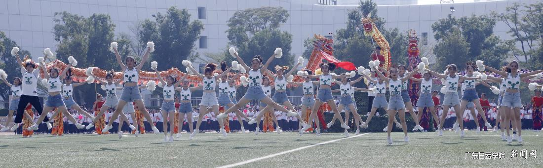 ͼƬ 17.png ͼƬ 17.png