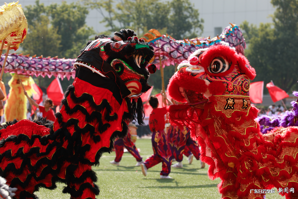 ͼƬ 14.png ͼƬ 14.png