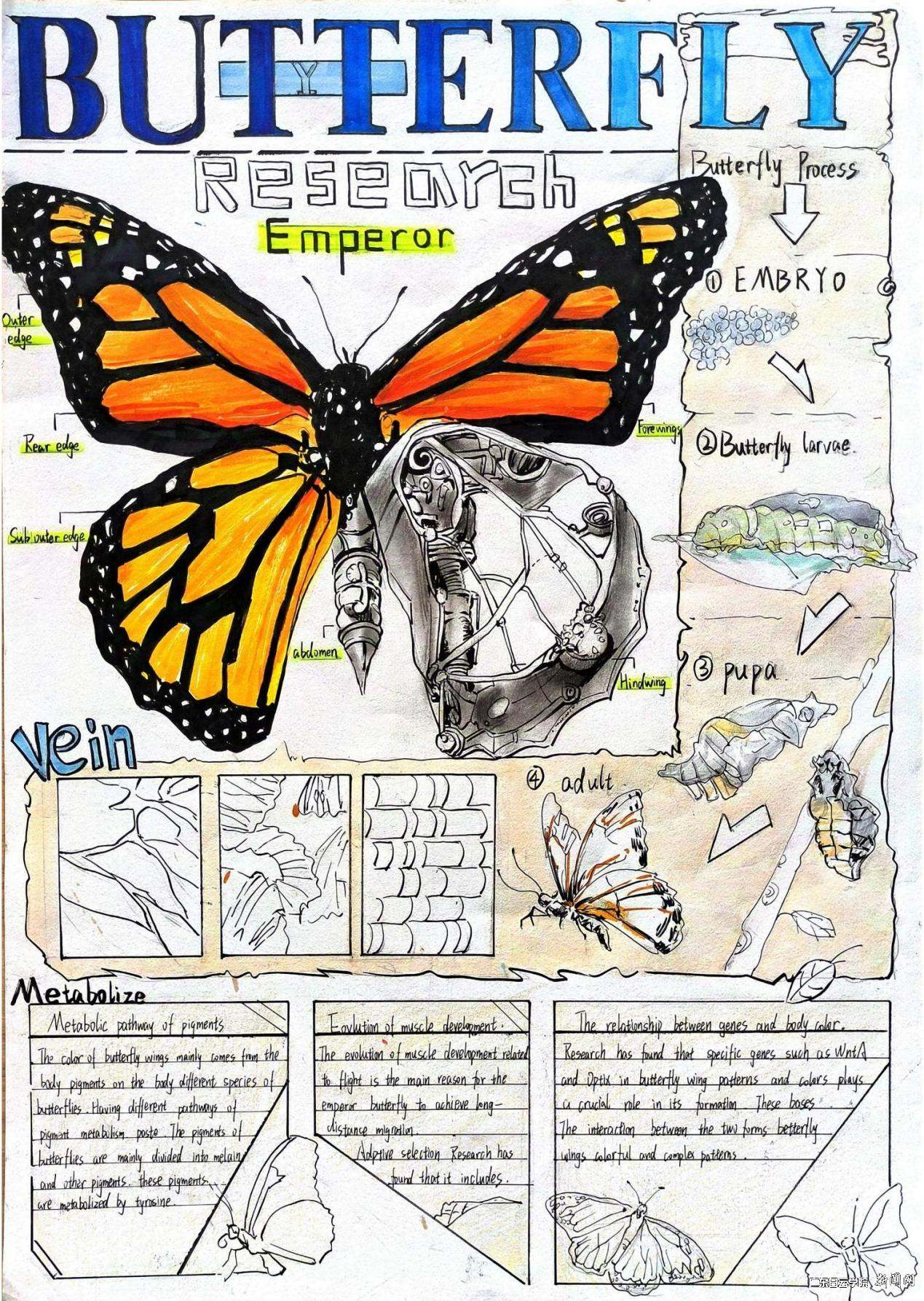 ͼƬ 1.png ͼƬ 1.png