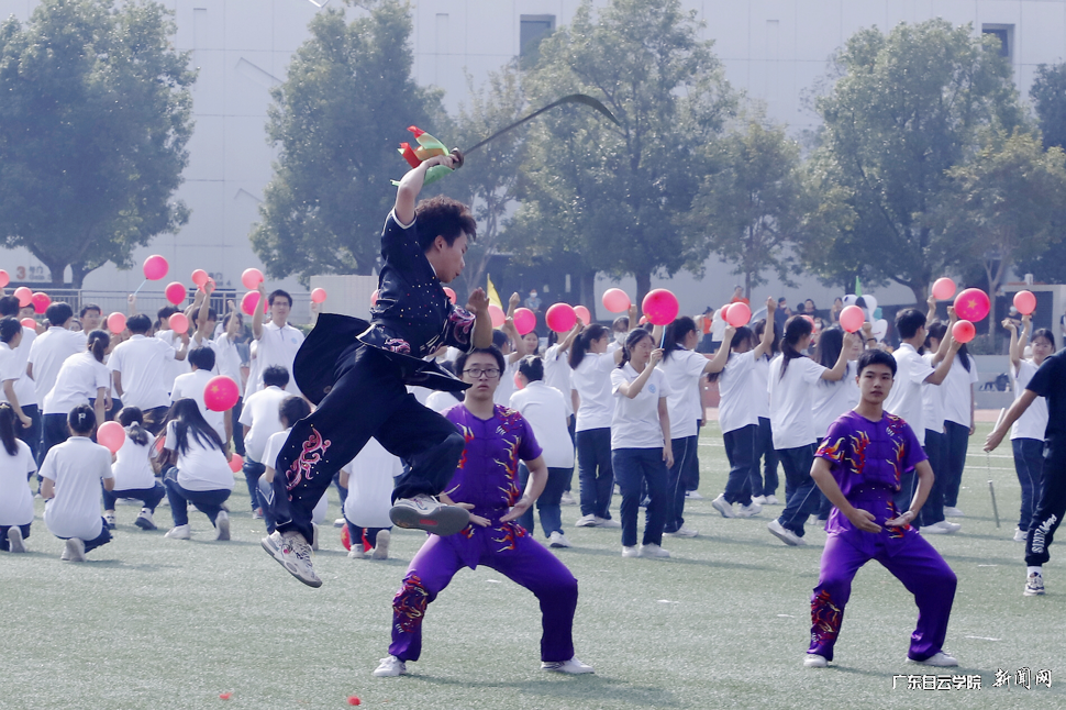 ͼƬ 13.png ͼƬ 13.png