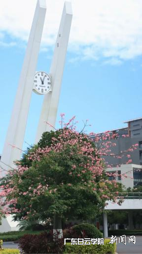 ͼƬ 2.png ͼƬ 2.png