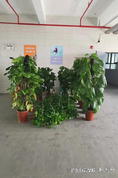 virtual_attach_file.vsb?afc=AU8C1sUNQ2U4rfLmzTkUmNYLNW7MmLNaU4U4nRU4Lm7sLRl0gihFp2hmCIa0L1yPoSyDUYhfnzv8MmWko7l4MN74oz-DUzT7M4GsM4lZMzTFozLDLRARnlrFLmMfL7LJqjfjo4OeosXEgDTJQty0LzL8LSyYMz7bL47JqdTnx&oid=2103874463&tid=1341&nid=251931&e= 整改后现场1.jpg