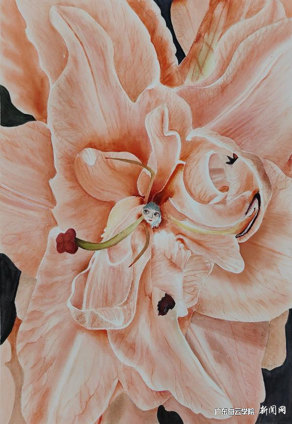 ͼƬ 8.png ͼƬ 8.png