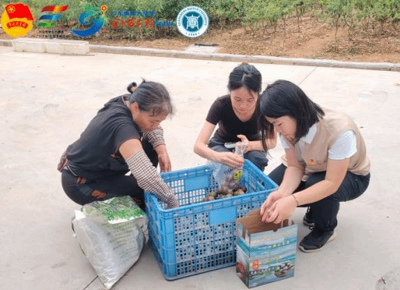 virtual_attach_file.vsb?afc=EozWefMRlZM7liLylLZLmGPLlMVM8UhbMRA2nlLYLmlDL8L0gihFp2hmCIa0n1yaL1h7MYyYMm-aM474LlUiM4WRnNVRU4CZozQRM8C4olrFUm6VL7LPL7rFLlQRozGJv2bjo4OeosXEgDTJQty0LzL8LSyPozl8Mm7Jqd3nx&oid=2103874463&tid=1341&nid=195461&e= 首页|壹号娱乐 - 相信品牌的实力