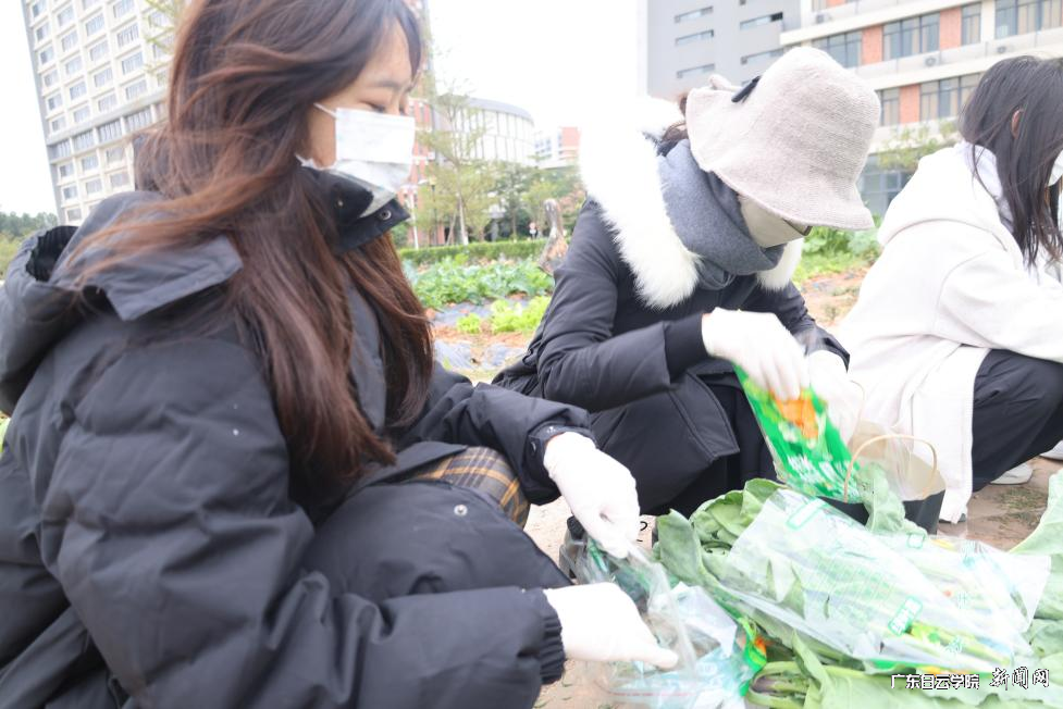 图片 5.png 图片 5.png