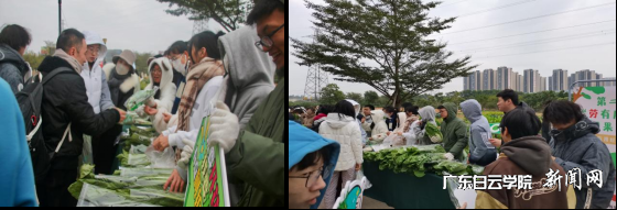 图片 7.png 图片 7.png