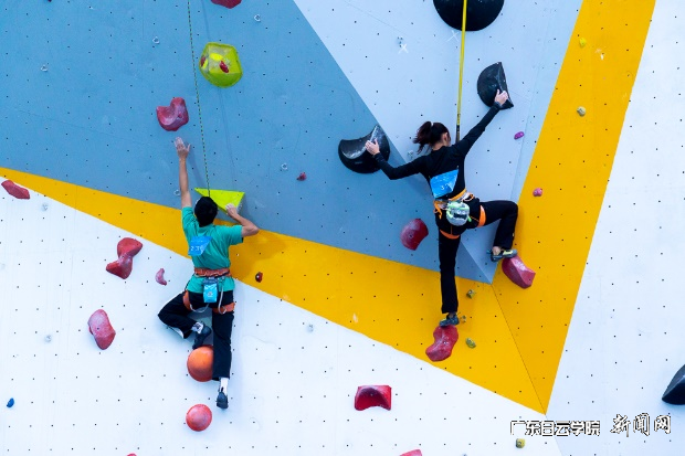 ͼƬ 11.png ͼƬ 11.png