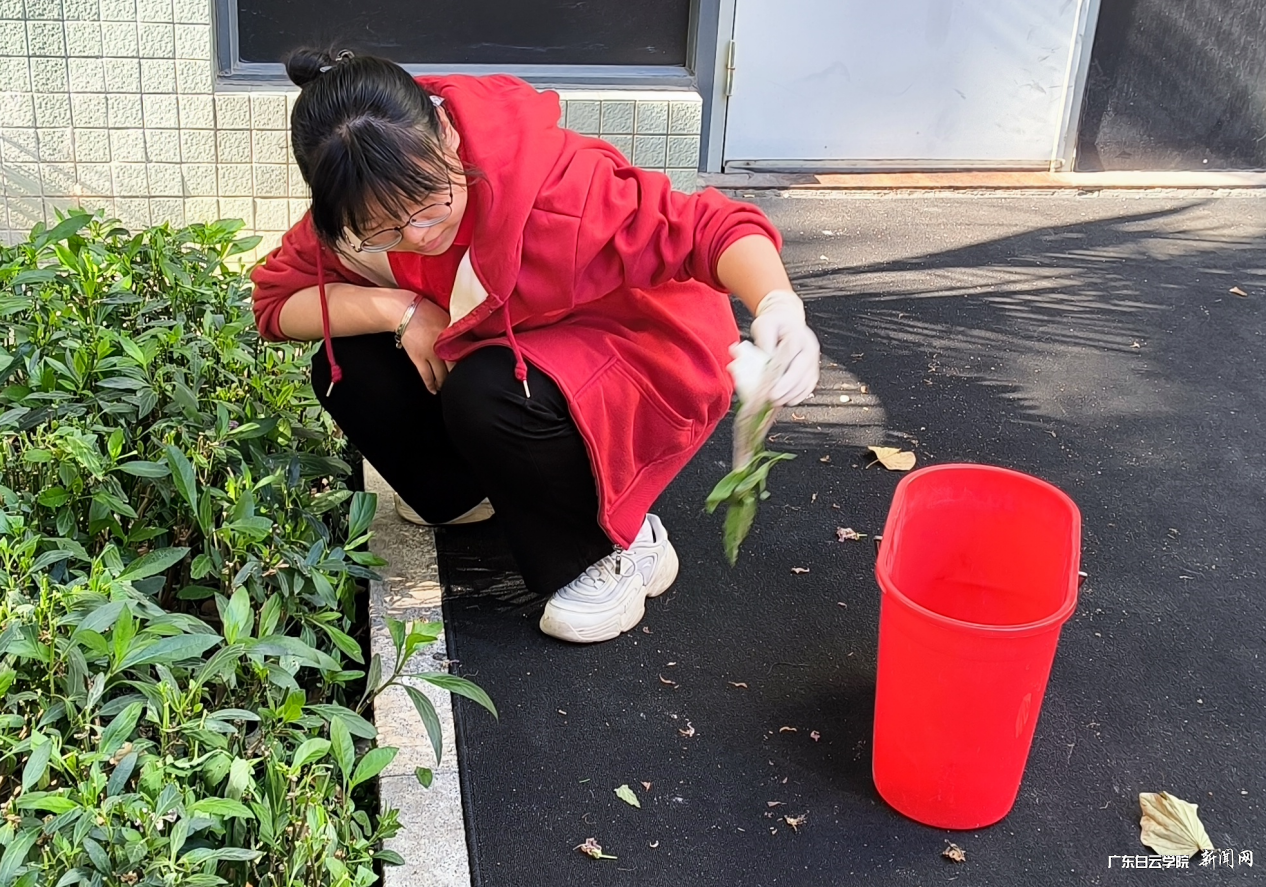 ͼƬ 2.png ͼƬ 2.png