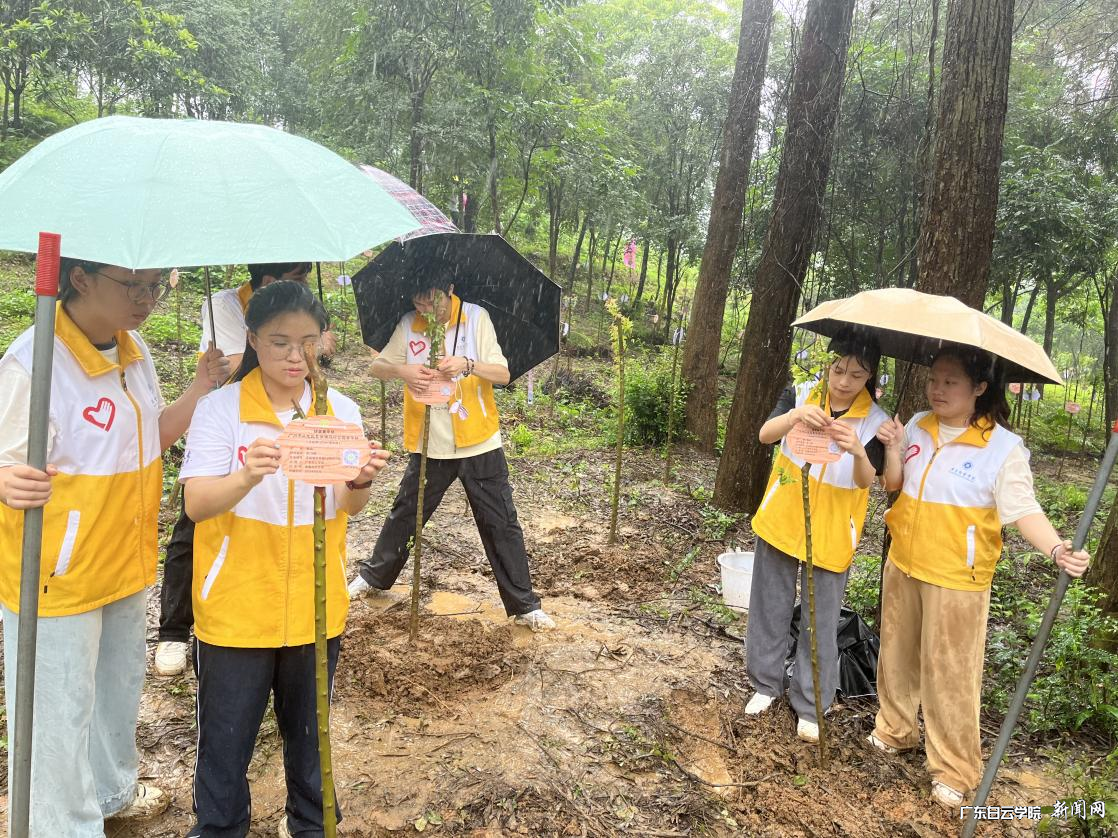 ͼƬ 4.png ͼƬ 4.png