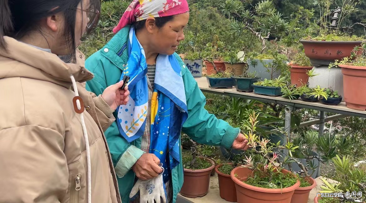 图片 4.png 图片 4.png