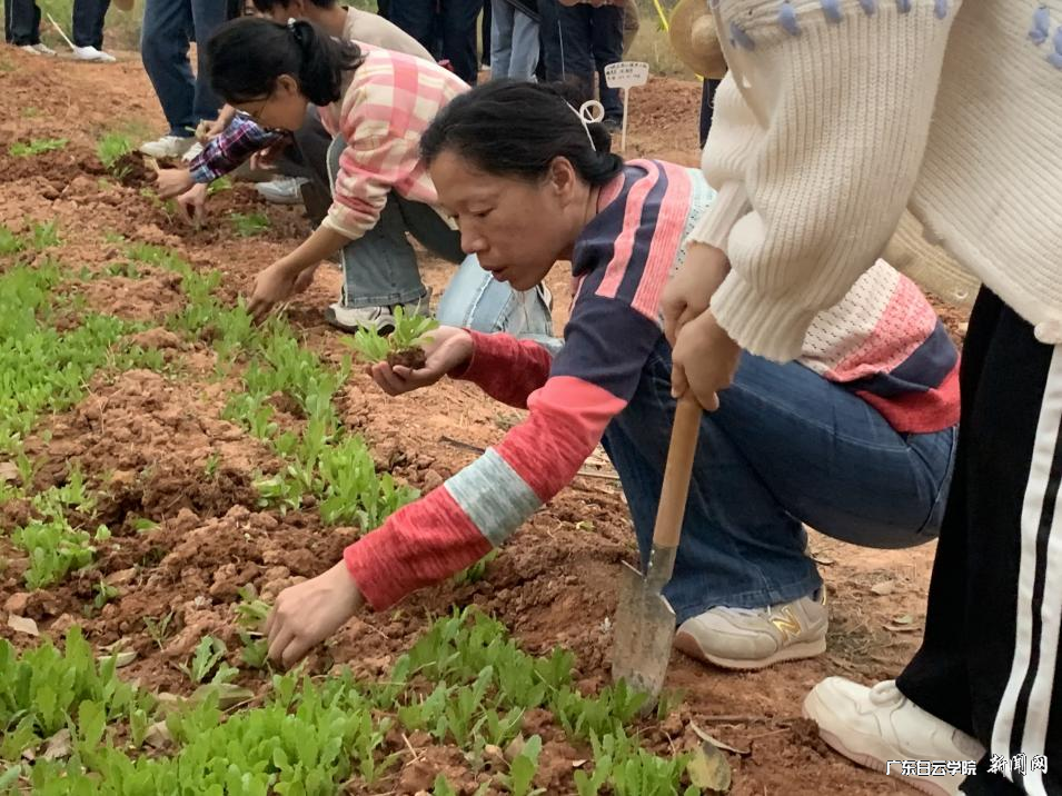 ͼƬ 4.png ͼƬ 4.png