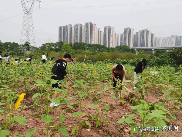 virtual_attach_file.vsb?afc=OL4vxbnNCbMzL8nJzNbnRMVM4vYM7U0bM8UaUlV2U8UYLN-0gihFp2hmCIa0M1yYnkyiLYhfMmCPLm9iLzLYMllDMNLsMmM2n7lsL7UiL7WFMlCsM7VVUzAFLmNZUzUJv2bjo4OeosXEgDTJQty0LzL8LSyPLmlPLm7Jqdanx&oid=2103874463&tid=1341&nid=125121&e= ͼƬ 10.png