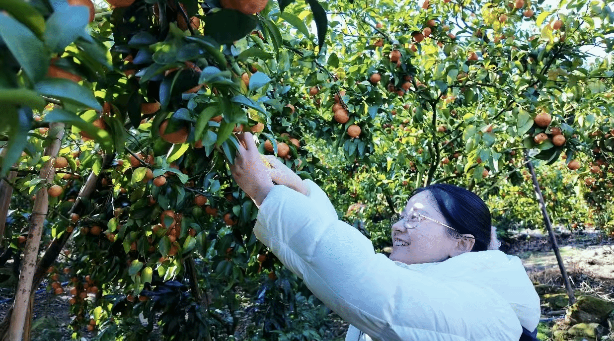 virtual_attach_file.vsb?afc=OLllxPLRAVUzCaLJ8UbM77iLmTVMmU0bLz6kMlnfnm-YUml0gihFp2hmCIa0LShfUSyZU1ybLNUZL49inzUbnmT7MlV7LNLPoz9ZnNCiMRAFMRM7MNMRL7VFo7liUlLJv2bjo4OeosXEgDTJQty0LzLiLSyYM4GaMz7Jqdanx&oid=2103874463&tid=1351&nid=270051&e= Ê×Ò³|Ò¼ºÅÓéÀÖ - ÏàÐÅÆ·ÅƵÄʵÁ¦