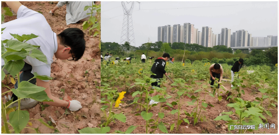 22¾¼Ãͳ¼Æ1°à.png 22¾¼Ãͳ¼Æ1°à.png