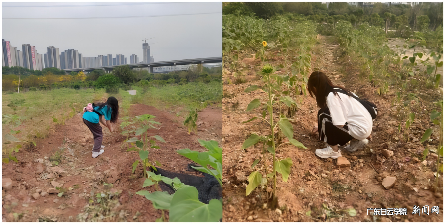 22½ðÈÚ2°à.png 22½ðÈÚ2°à.png