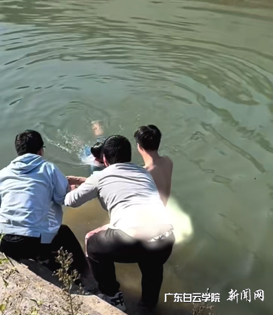 ͼƬ 2.png ͼƬ 2.png