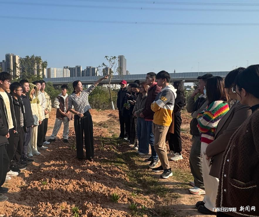 ͼƬ 4.png ͼƬ 4.png