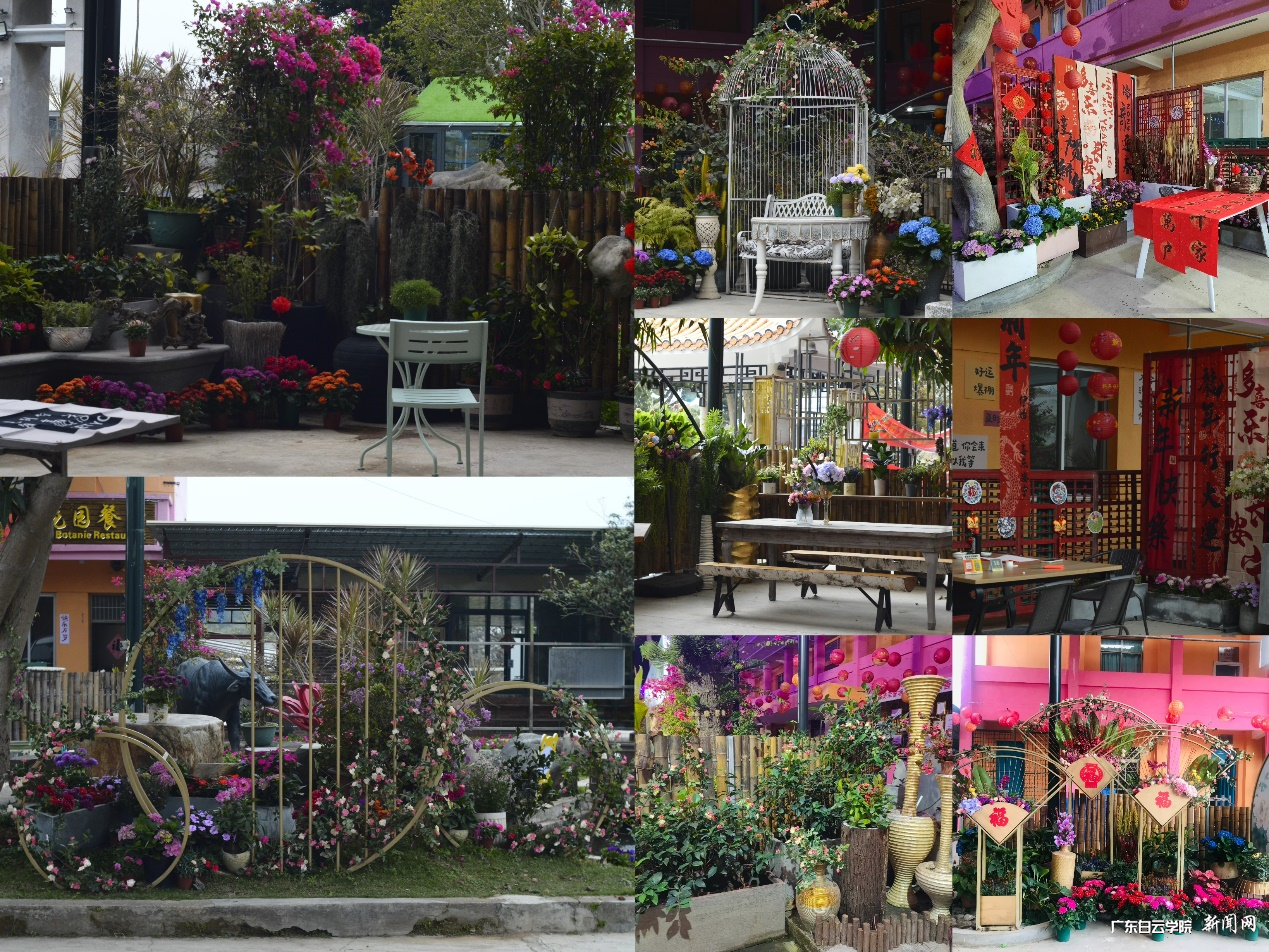 图片 5.png 图片 5.png