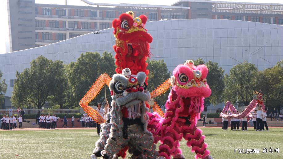 ͼƬ 10.png ͼƬ 10.png