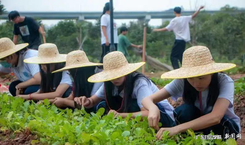 ͼƬ 1.png ͼƬ 1.png