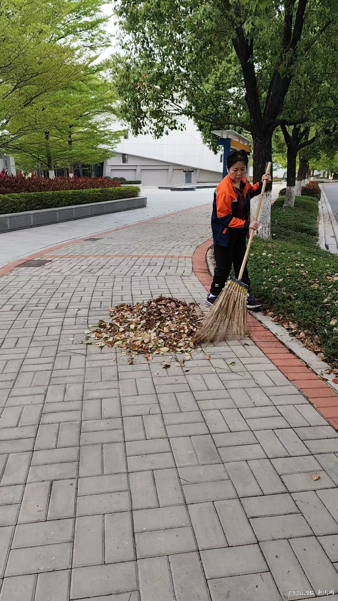 ͼƬ 2.png ͼƬ 2.png