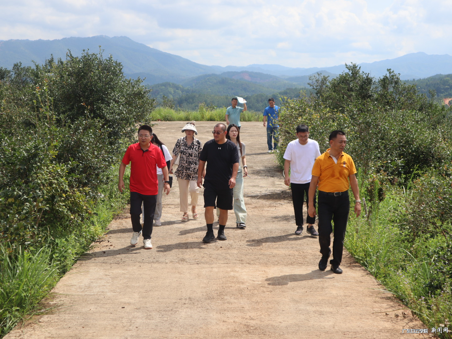 图片 1.png 图片 1.png