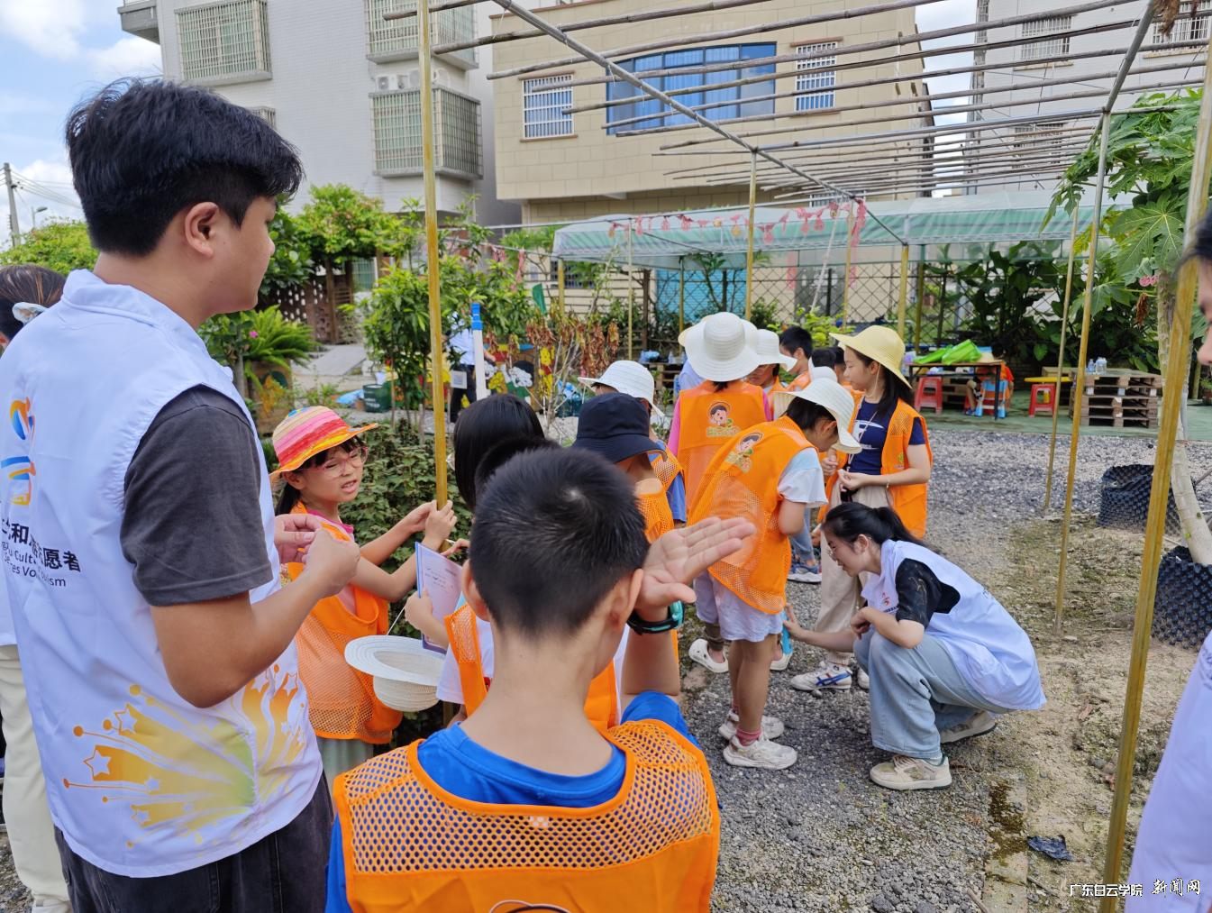 图片 2.png 图片 2.png