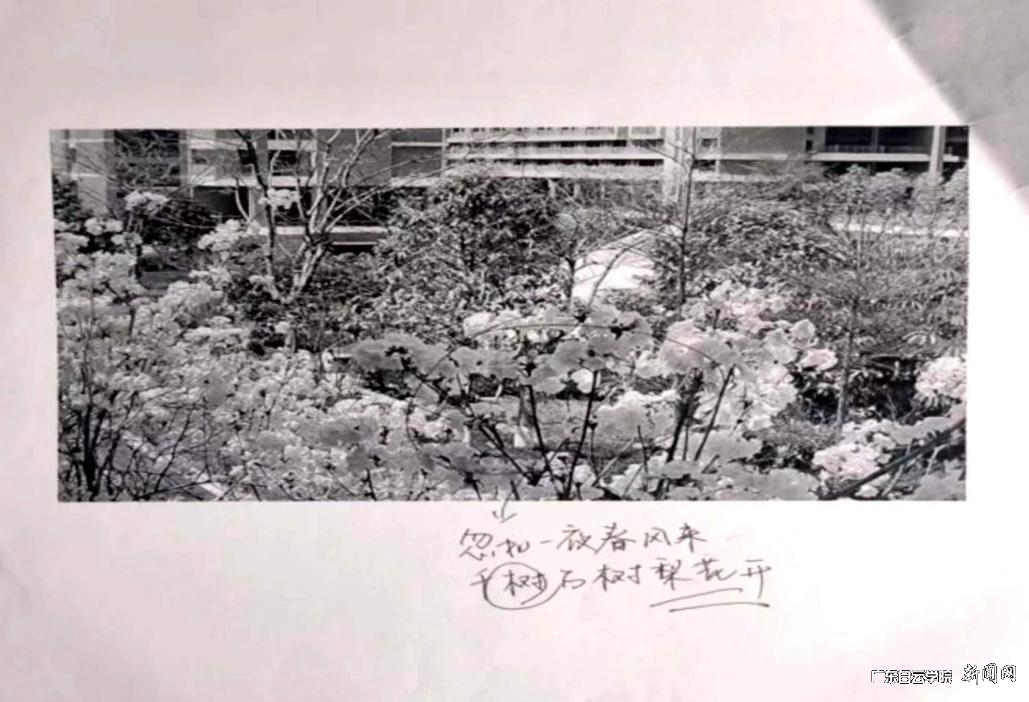 ͼƬ 2.png ͼƬ 2.png