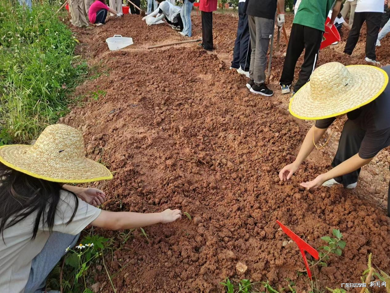 图片 4.png 图片 4.png