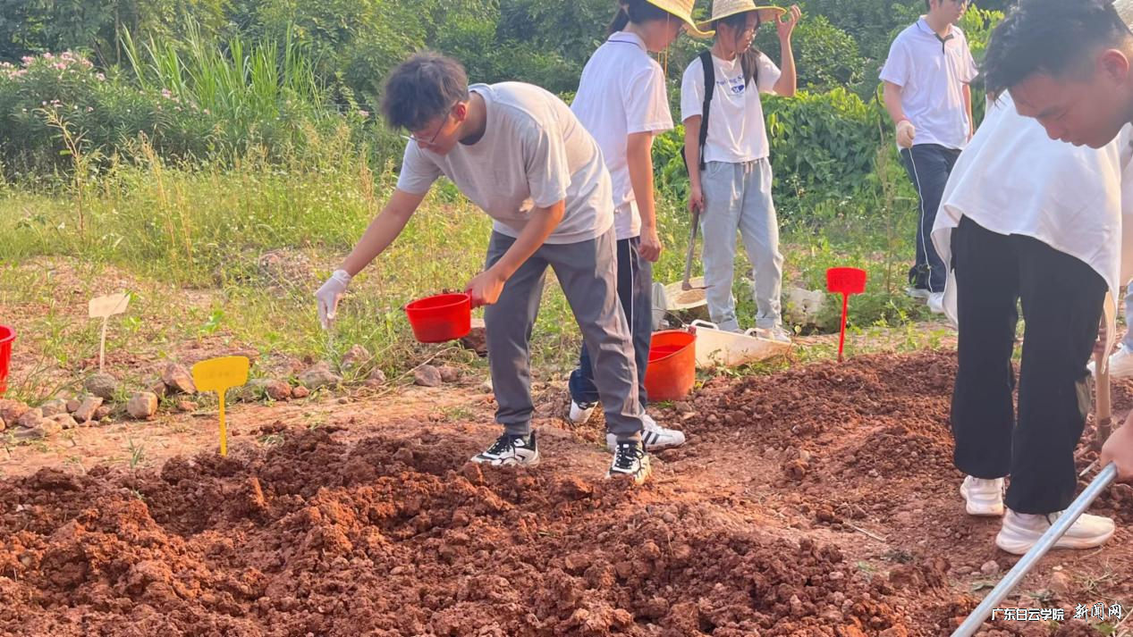 图片 3.png 图片 3.png