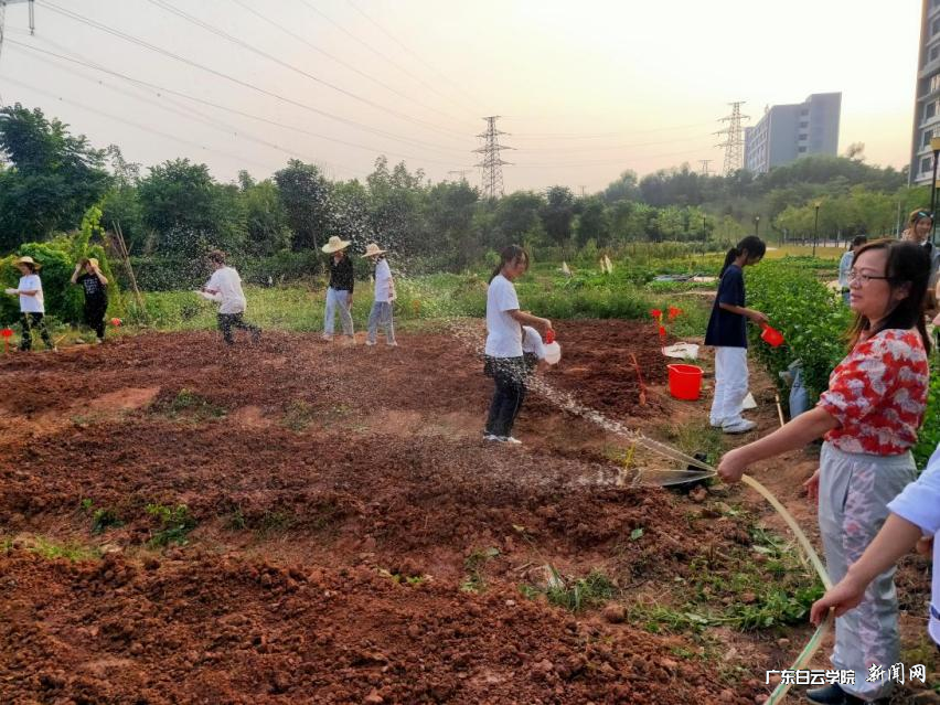 图片 5.png 图片 5.png