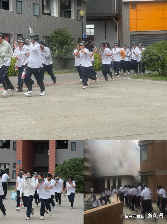 ͼƬ 5.png ͼƬ 5.png