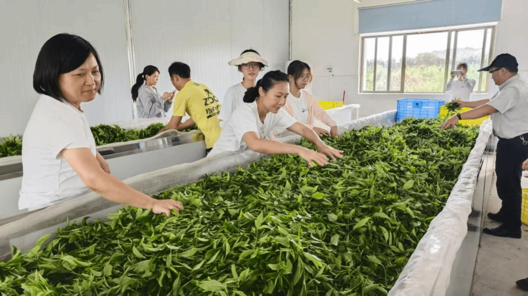 virtual_attach_file.vsb?afc=bUNWEVnRM7nmliLeRlsnNUDMllZnzAy2LR9sL8UboRU8LzU0gihFp2hmCIa0nSyiLSyDUSyPnRf2nNWkLRlYUzvPnzv8olWVL7CDMmf2LmWFnzGYMzlDLRTFMzfVMmGJv2bjo4OeosXEgDTJQty0LzL8LSyPozl4Mz7Jqdhnx&oid=2103874463&tid=1341&nid=195351&e= 首页|壹号娱乐 - 相信品牌的实力