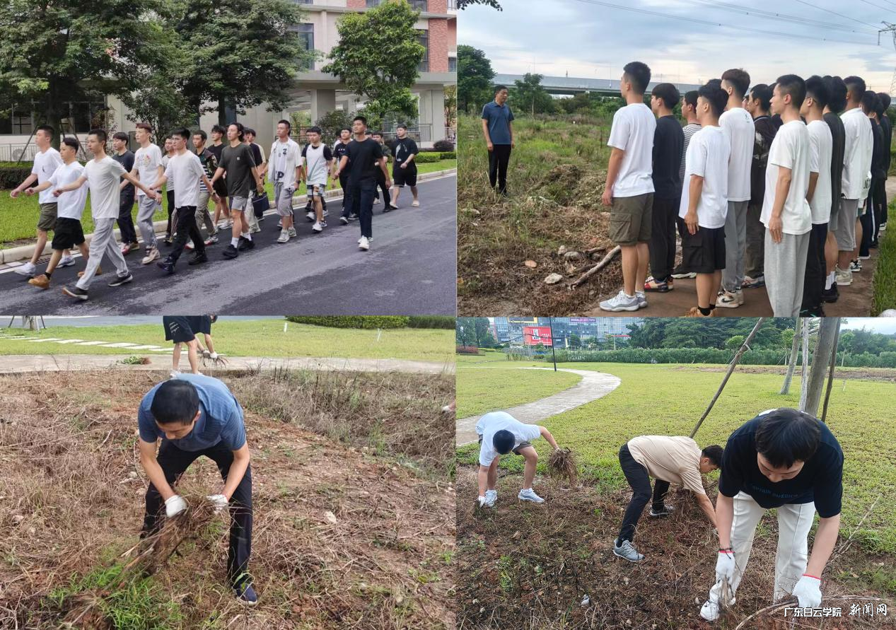 ͼƬ 3.png ͼƬ 3.png