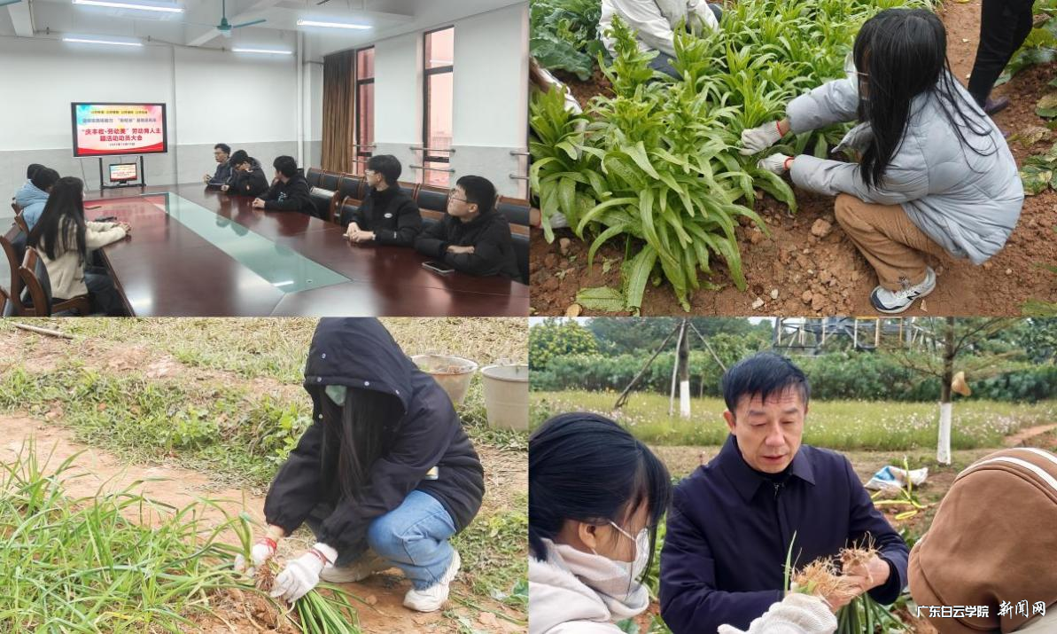 ͼƬ 7.png ͼƬ 7.png