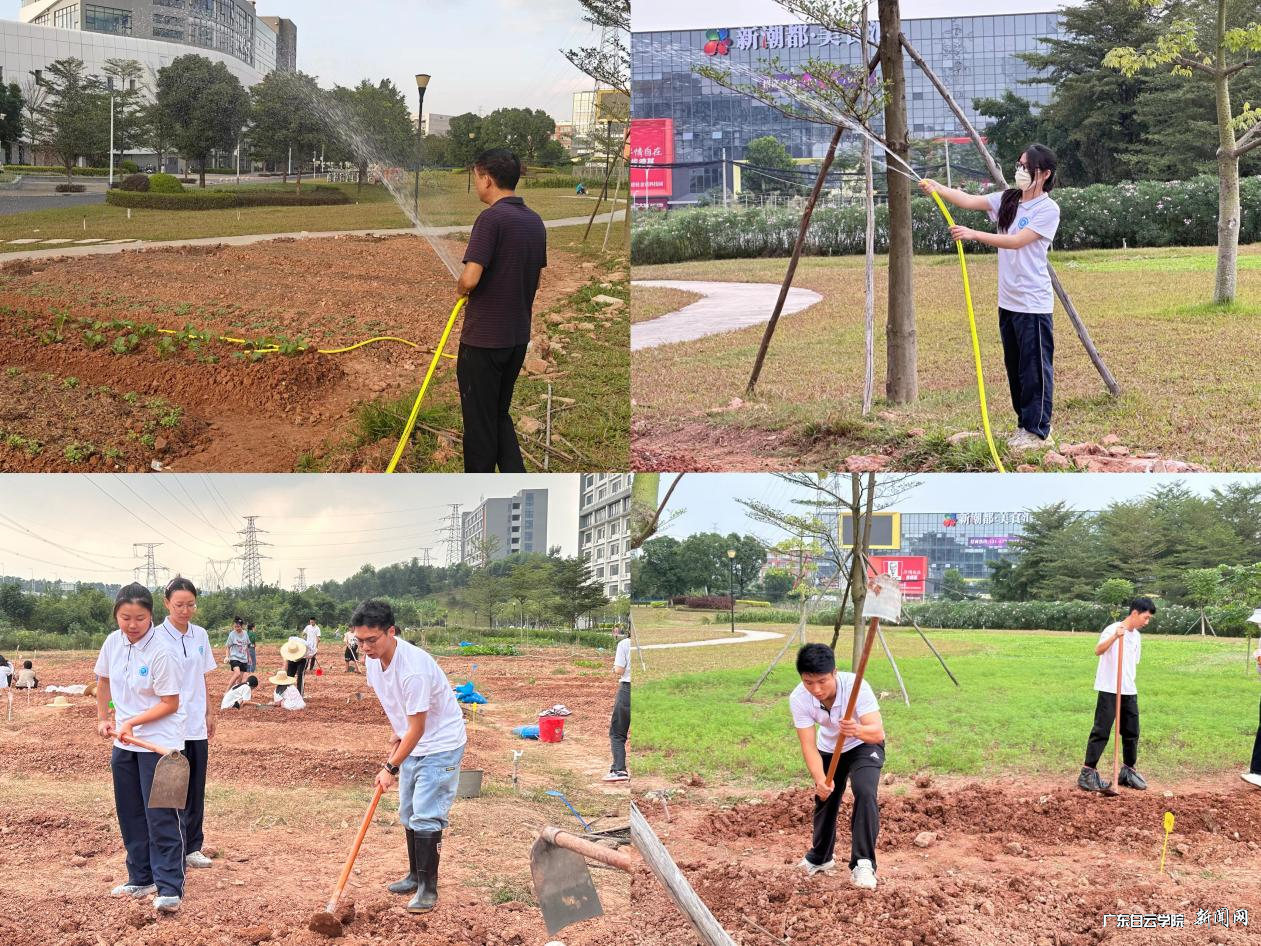 ͼƬ 4.png ͼƬ 4.png