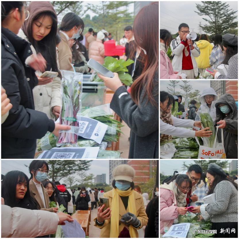 图片 3.png 图片 3.png