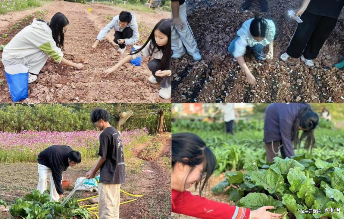 ͼƬ 5.png ͼƬ 5.png