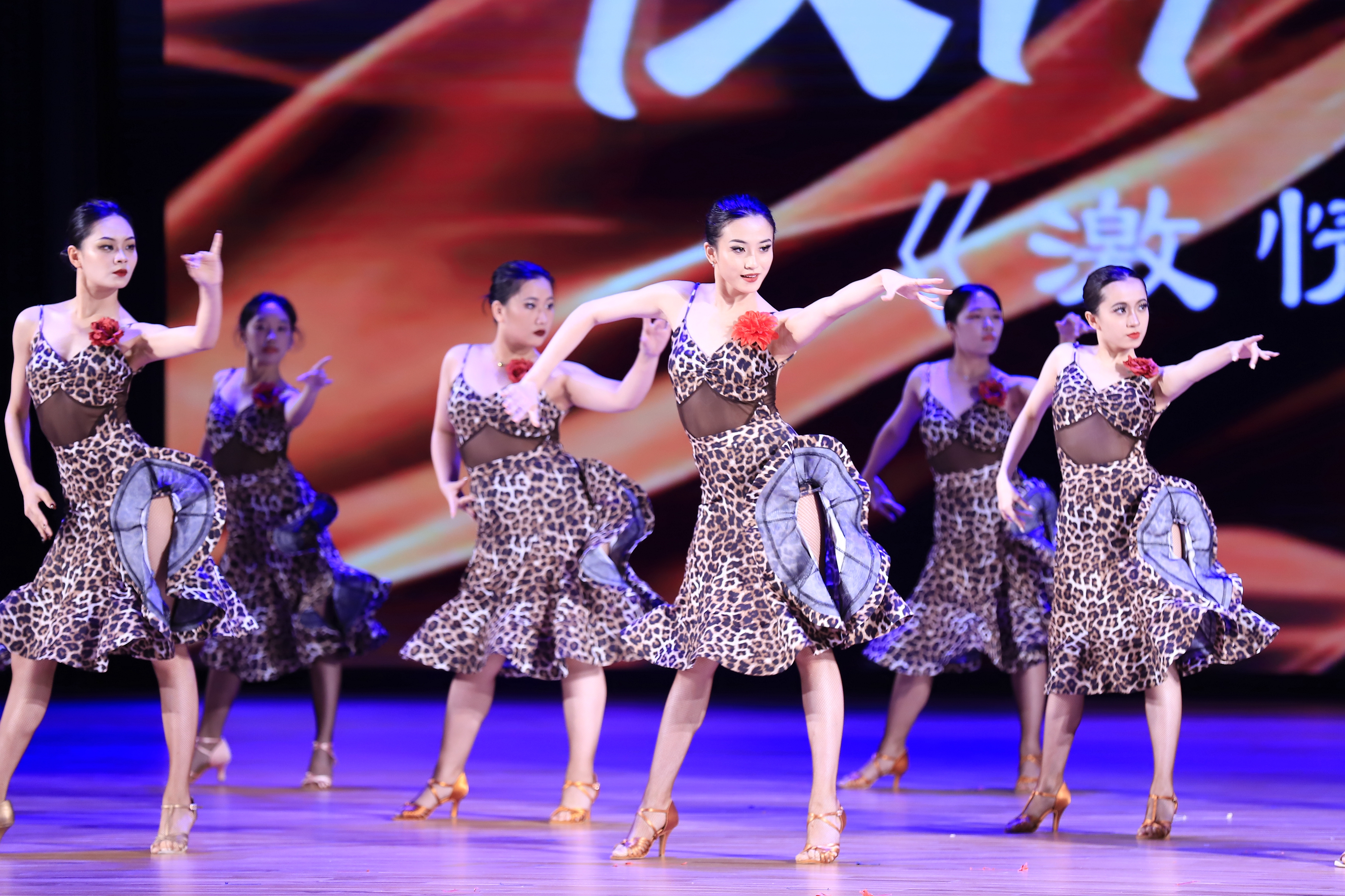 _MG_3753_¸±±¾.jpg _MG_3753_¸±±¾.jpg