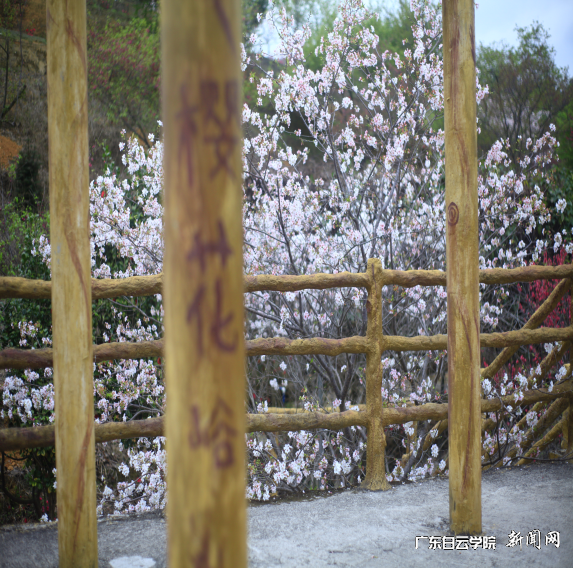 ͼƬ 4.png ͼƬ 4.png