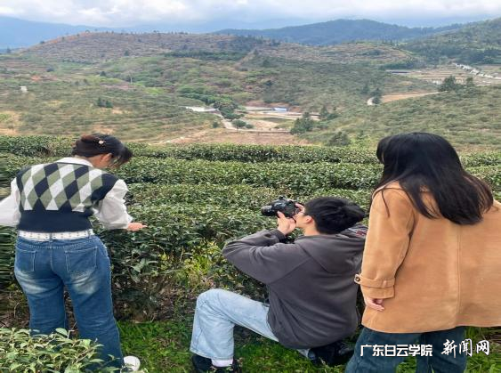 ͼƬ 3.png ͼƬ 3.png