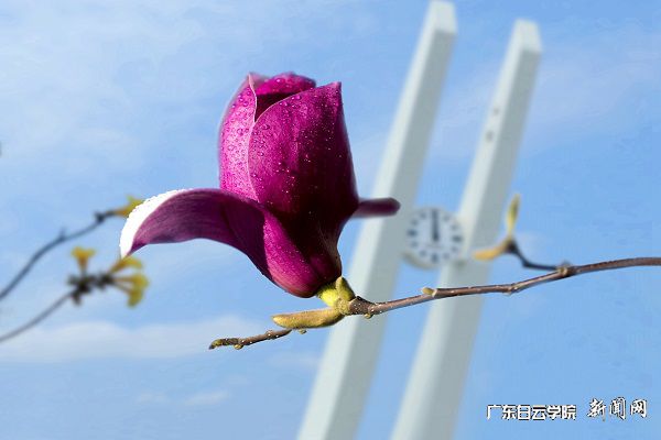 v2veo4Oe_jw0qIbtpYyPL4UPg4-iM4CiLSbw62r8c&oid=2103874463&tid=1341&nid=257651&e= º¬°úÓû·Å.jpg