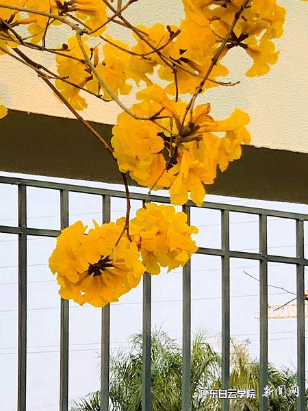 virtual_attach_file.vsb?afc=nM7MS2MN74nN7PLz4C8MNrRM7WkL8MlkLmA7nmG4LlMRLzL0gihFp2hmCIa0n1ysMSyiUYyPMl-sUNlsUNMkMmVknN7bLmV7LzUYoRvsLRfFnNCsnR-YozfFLz-aLz7Jqjfjo4OeosXEgDTJQty0LzL8LSyYMzvDMz7Jqdrnx&oid=2103874463&tid=1341&nid=257651&e= »¨¿ªÕýÑÞ.jpg